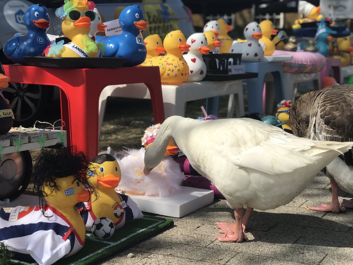 BadeendenRaces's tweet photo. Afgelopen woensdag ontvingen we alle sponsoren van de #BadeendenraceXL in de #Piushaven. Helaas moesten we door de extreme hitte onze Badeendenrace en onze bedrijvenrace verplaatsen naar een andere datum. We hopen deze snel bekend te kunnen maken!

https://t.co/NXL4nEt3Tw https://t.co/YuyH5g4Izn