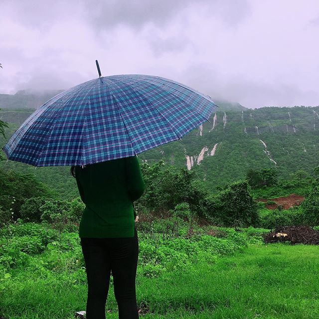 Photographer_RT's tweet photo. #rainyday #loveforrain #viewofthrday #weekend #weekendvibes #weekendmood #monsoon #monsoonindia #green #greenery #waterfall #waterfallview ☂️🌧 https://t.co/MPyMhNIouL https://t.co/uLmwcDWUs1