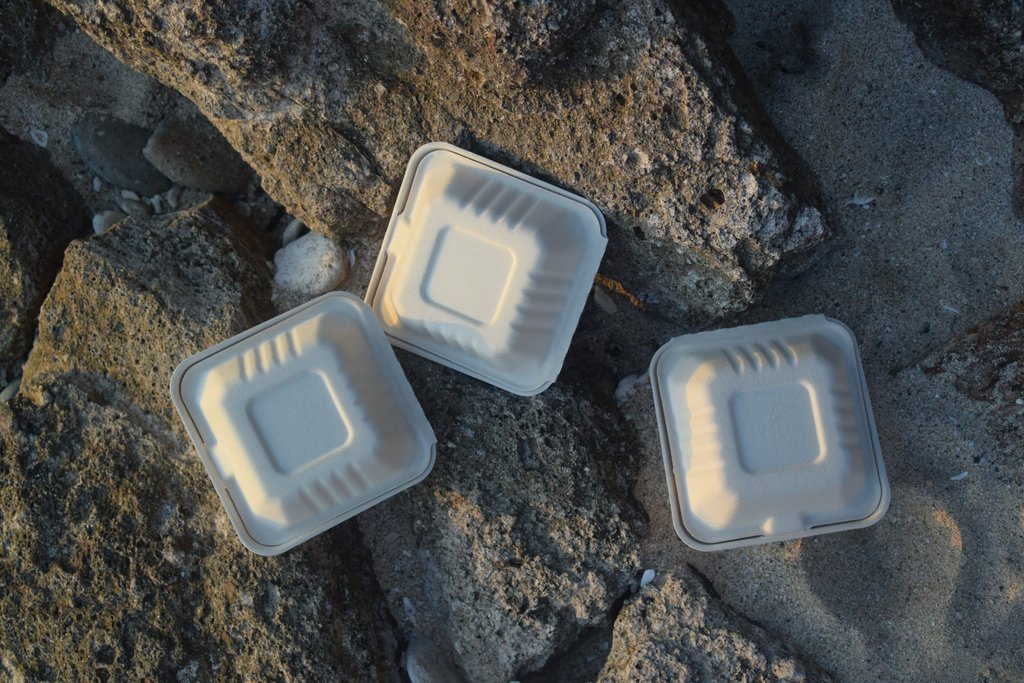 Happy Saturday everyone! #plasticfreejuly is almost over...what steps have you taken to help reduce your plastic waste this month and what will you do to sustain it? 
(Pictured here is our 6x6 #EcoIslandPackaging food container made of sugarcane bagasse)