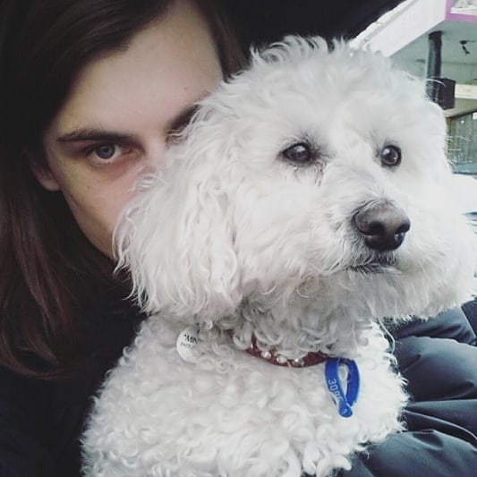 RIP my little lamb and bundle of love. Back into STAR DUST you go 😇🥰💕