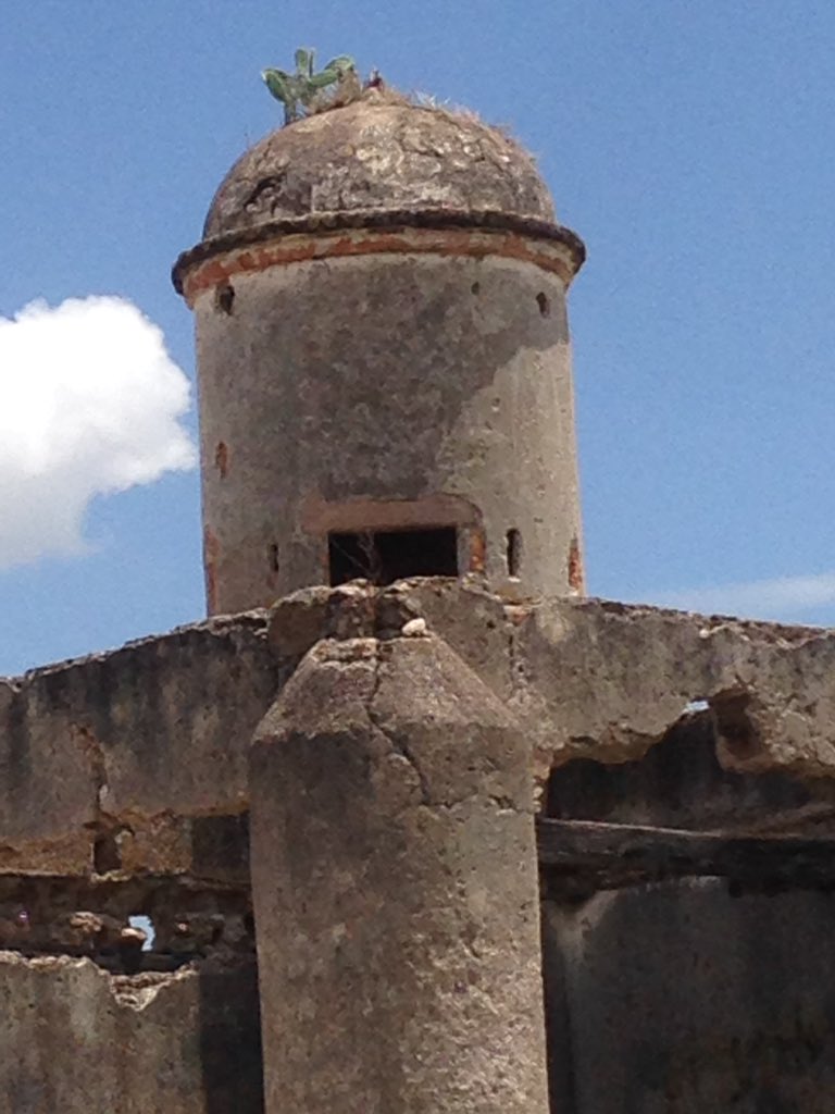 Guachichiles1's tweet photo. Visita Ocampo Gto https://t.co/wNunXqEGXY