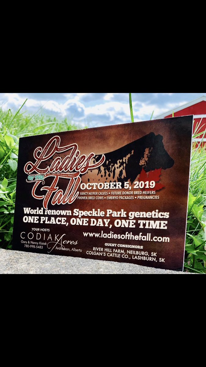 codiakacres's tweet image. Ladies of the Fall 2019. Come see us!