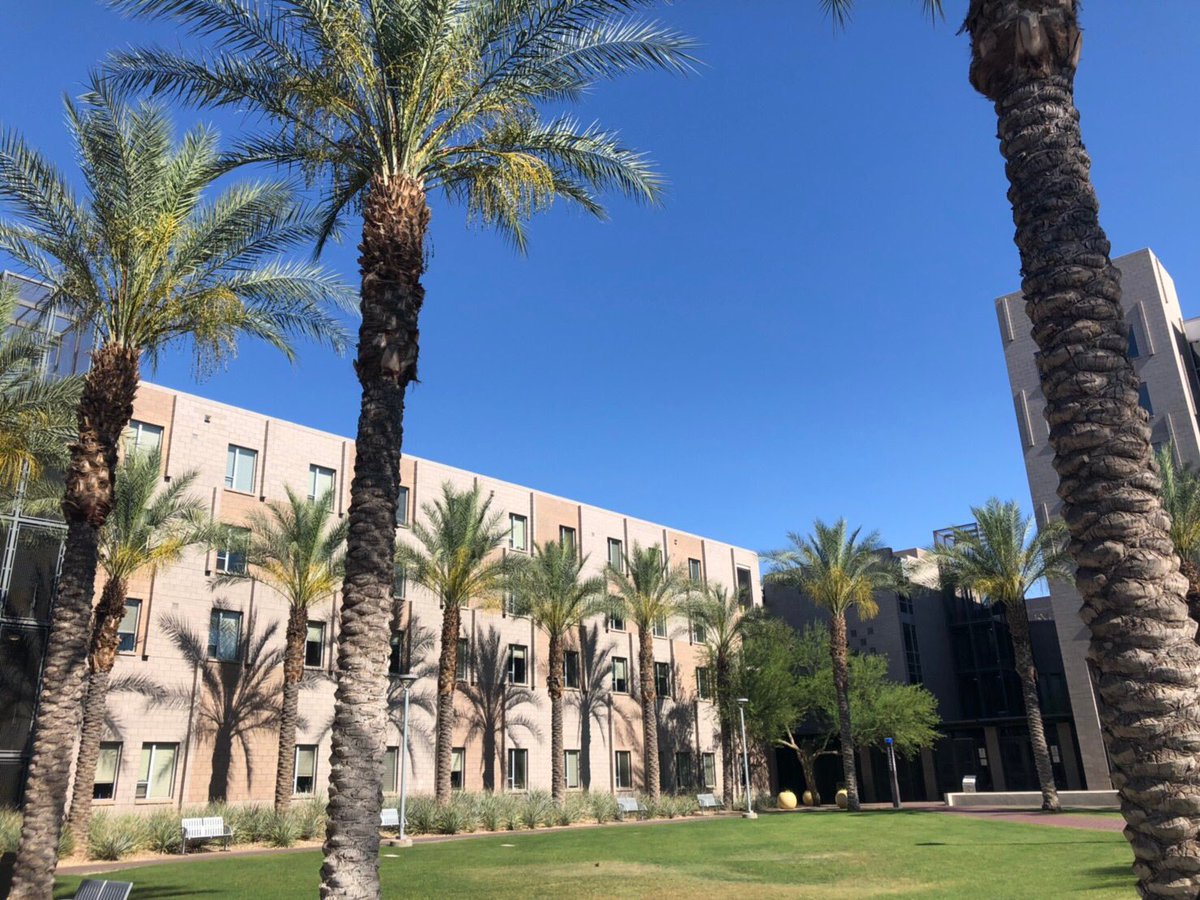 南山大学国際教養学部