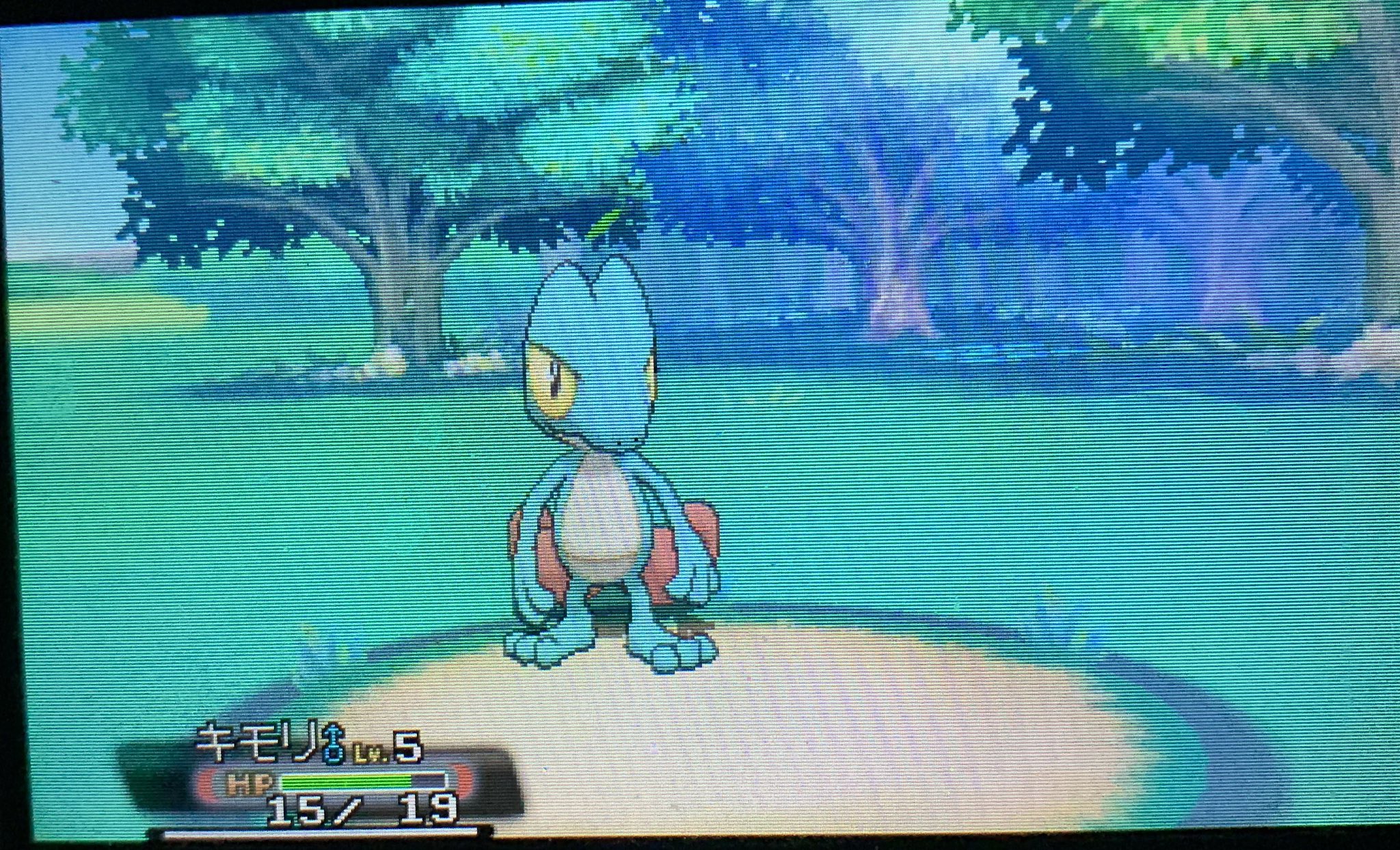 みりん Mo Mo Se Guitar Twitter