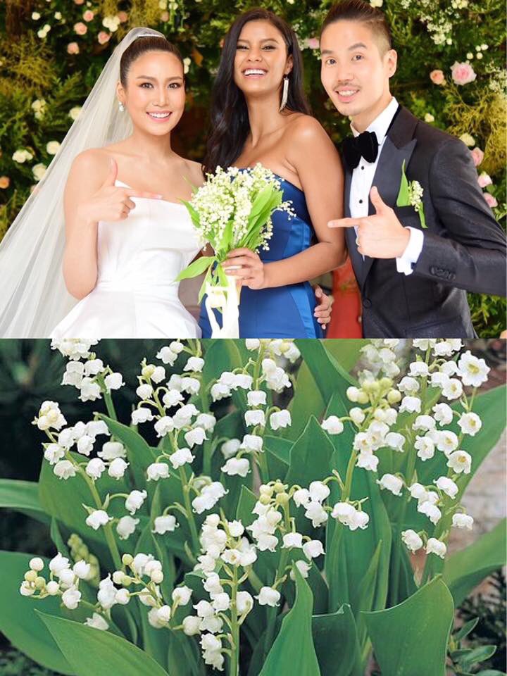 roadtomissth's tweet photo. Lily of the Valley (ลิลลี่แห่งหุบเขา) ที่ต้องเก็บรักษาไว้ที่อุณหภูมิ 10 องศา เพื่อรอส่งมอบให้เจ้าสาวแสนสวย 

ดอกนี้มีรูปทรงเหมือนระฆังเล็กๆ มีกลิ่นหอม นิยมใช้ในงานแต่งงาน โดยมีความหมายว่า 

“ความอ่อนหวานของคุณ ช่วยเติมชีวิตฉันให้สมบูรณ์” 

#RoadtoMissUniverse2019 
#MissUniverse https://t.co/zddhpNmIRm