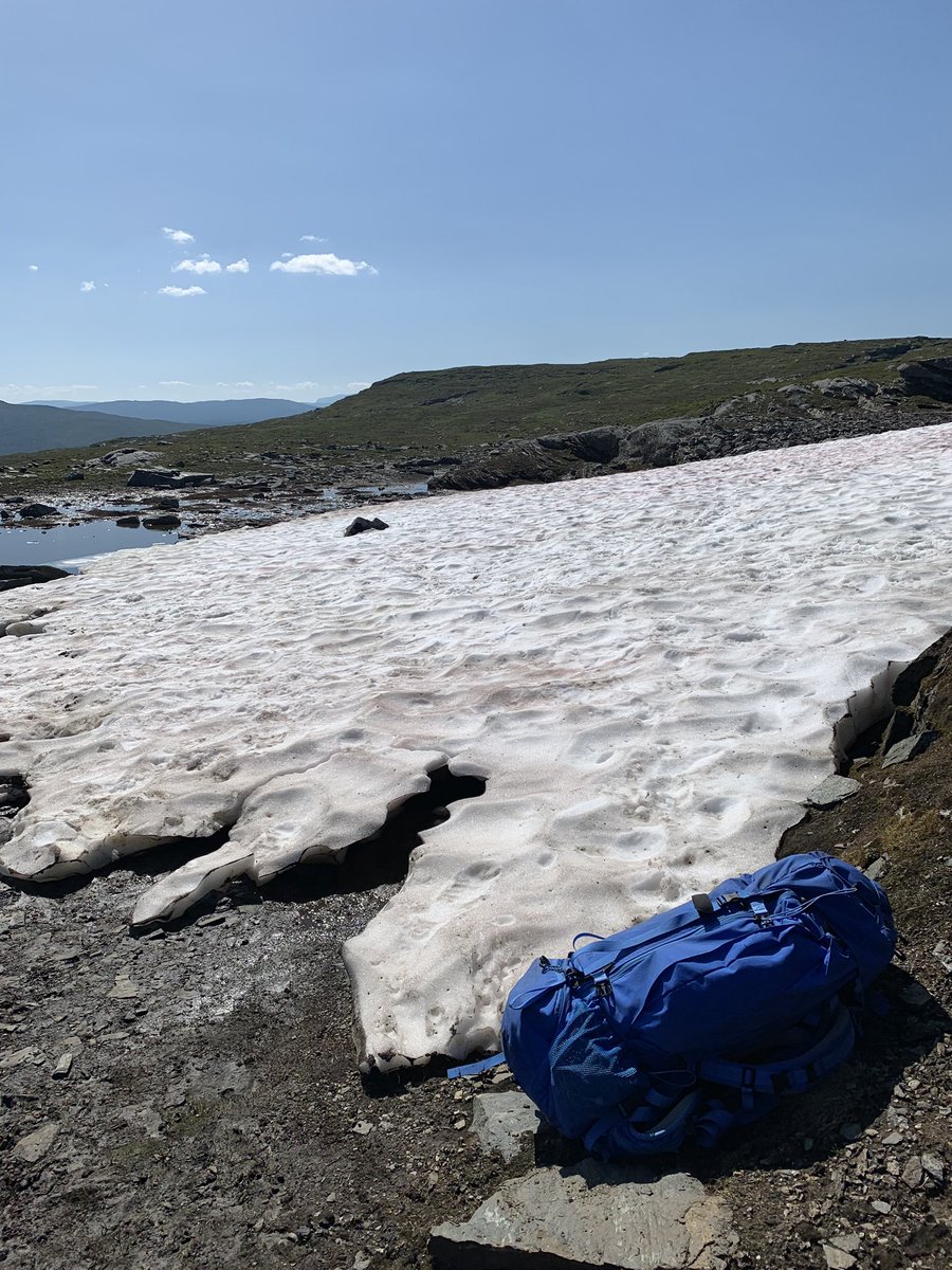 Svalkande i sommarvärmen!
#jämtland