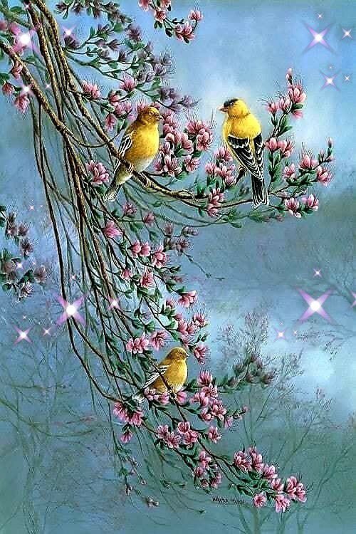 يهب الله الطيور غذاءها .. لكن لا بد أن تطير حتى تصل إليه ..! 🦋
🐦🕊🐦🕊