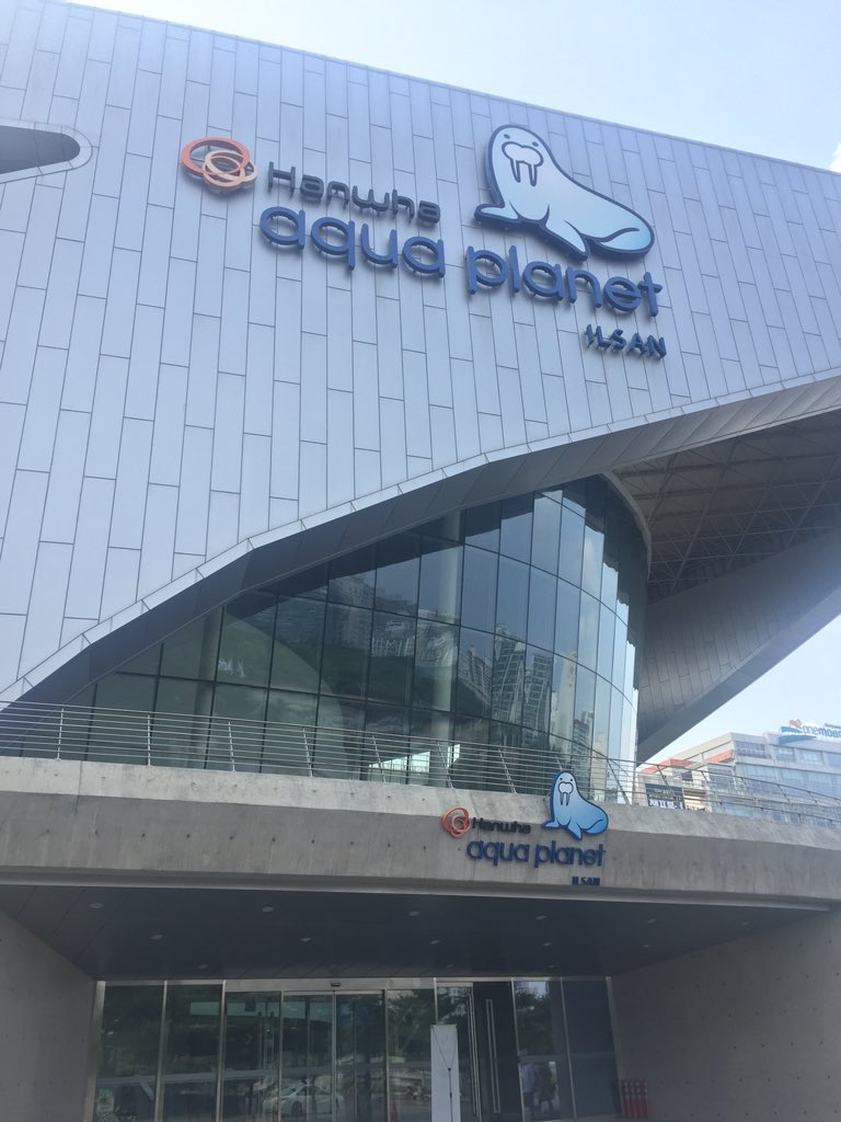 tchangkyun's tweet photo. guys I’m living my best life in Korea....I went to the Hanhwa Aqua Planet in Ilsan today where monsta x filmed monsta x x-ray 👀 I’ve never seen lemurs so close before holy fudge https://t.co/uWYjozuiy5