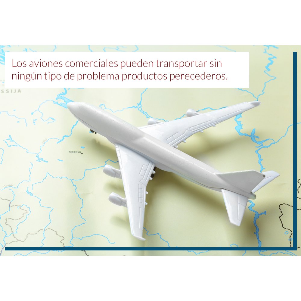 Una #curiosidad acerca del #TransporteAéreo de #mercancías: ¿sabías que los #AvionesComerciales pueden transportar mecancías perecederas? siempre que estén dotados de refrigeradores en la bodega inferior del aparato, además el aeropuerto también debe estar preparado para ello 👈