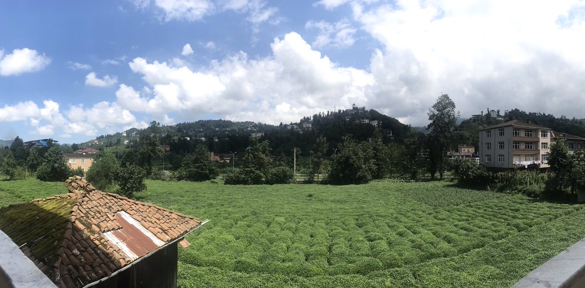 bdemircan1071's tweet photo. Çay kokusunu özlemişim. https://t.co/QDEmWSKJje
