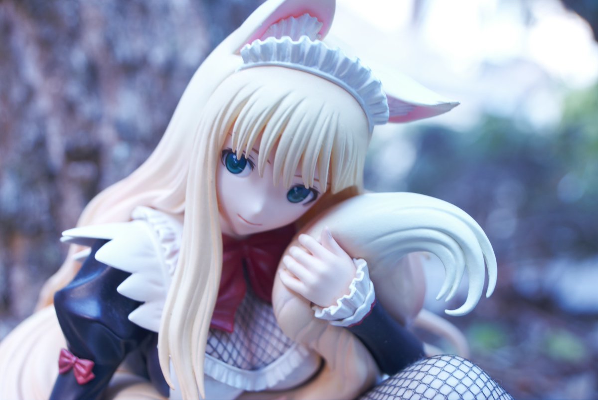 ローナムラサメ