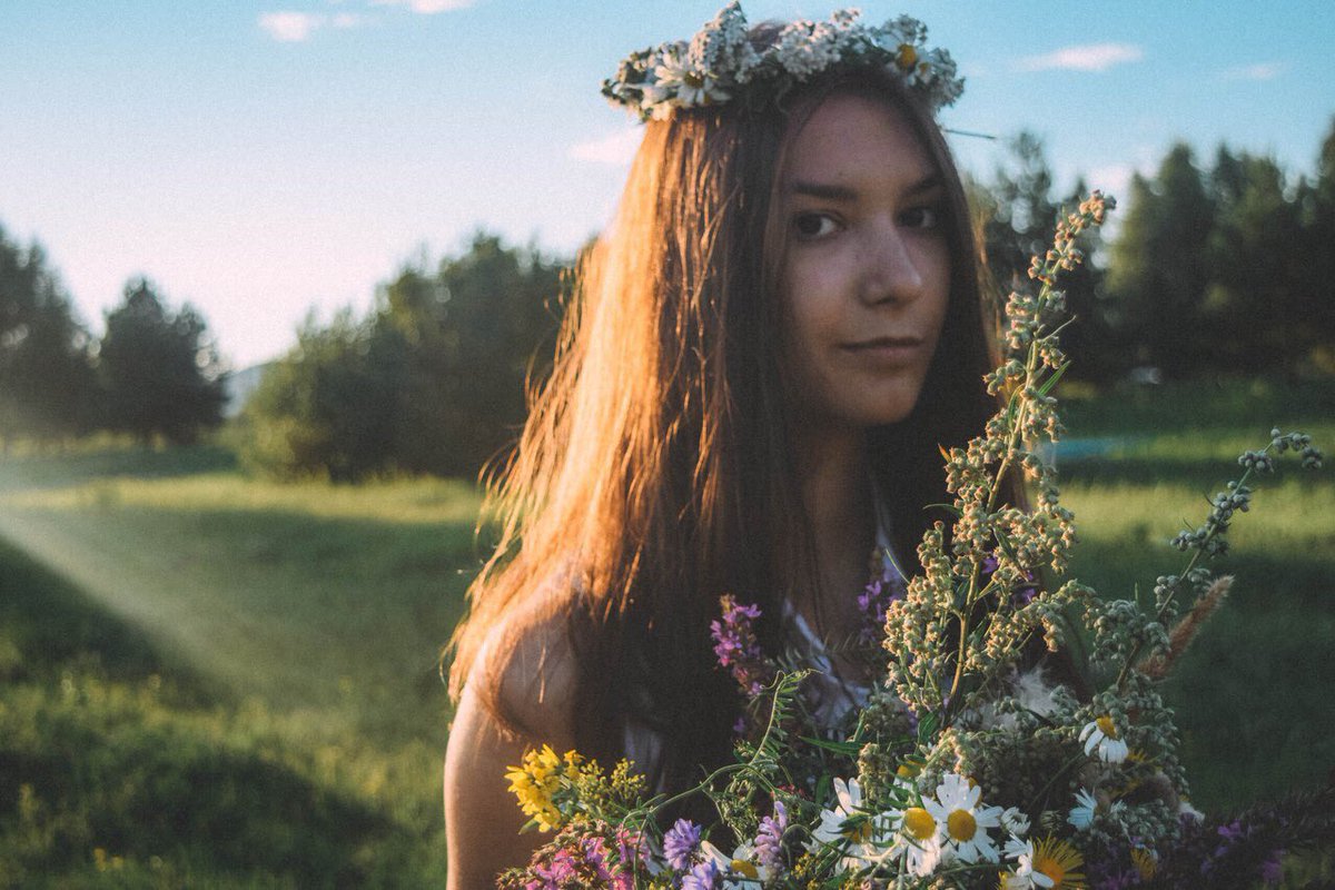 Paper_Violet's tweet photo. Эволюция травяного покемона https://t.co/lz0AYjD5LQ