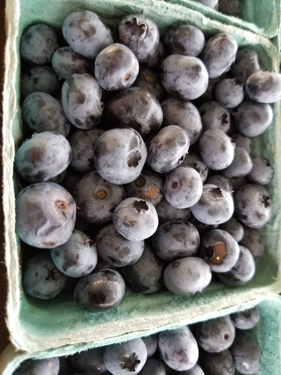 I love as the season gets going, each week its something new. This week, BLUEBERRIES are here!! Come see us 8am-noon. #farmersmarket #Wellesley #supportlocal #farmfresh