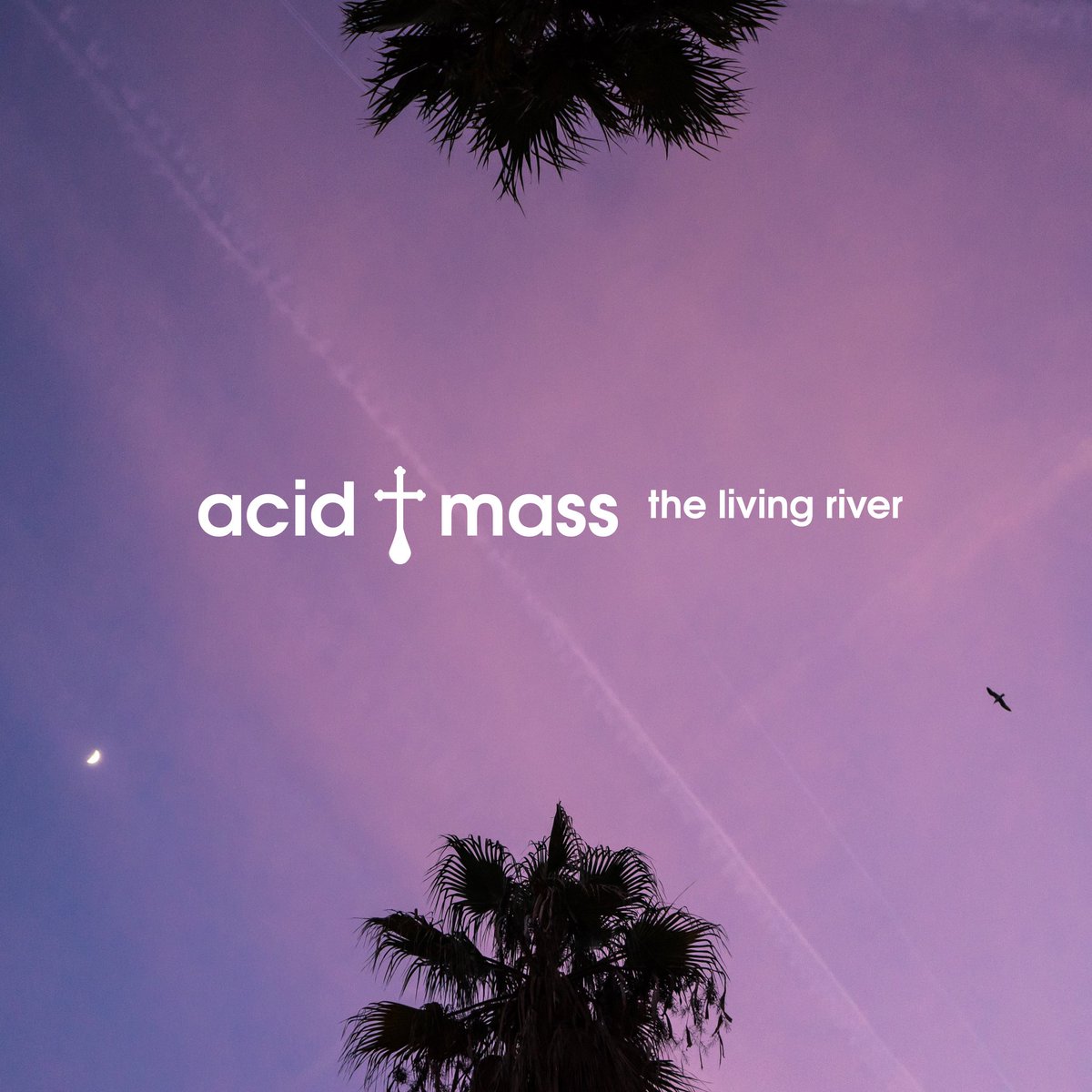 Acid Mass' debut album 'The Living River' is nothing less than 40 minutes of joyous, humid electronica, drenched in wave after wave of breezy, vaped out saxophone, from one of Sheffield's best experimental acts.

Buy/Listen in full now via: theaudaciousartexperiment.bandcamp.com/album/the-livi…

#NewReleases