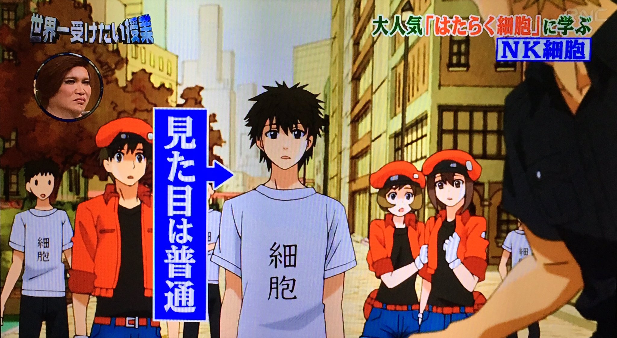 クロス در توییتر 石田ァッ 普通の人 こんな普通の細胞がガン細胞だなんて アニオタ Cv石田彰が裏切らないワケ無いだろ