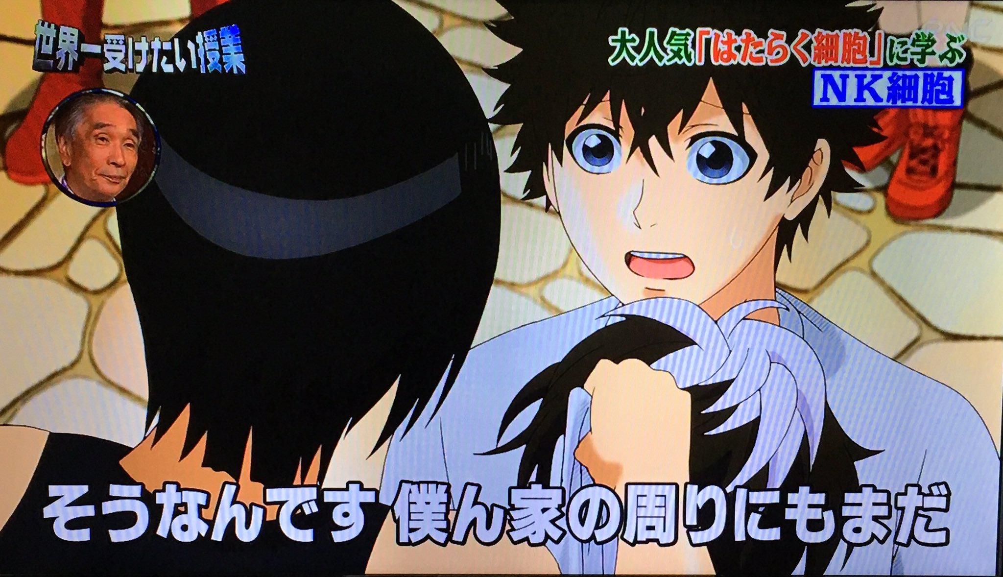 石田ァッ 普通の人 こんな普通の細胞がガン細胞だなんて アニオタ Cv石田彰が裏切らないワケ無いだろ 話題の画像がわかるサイト