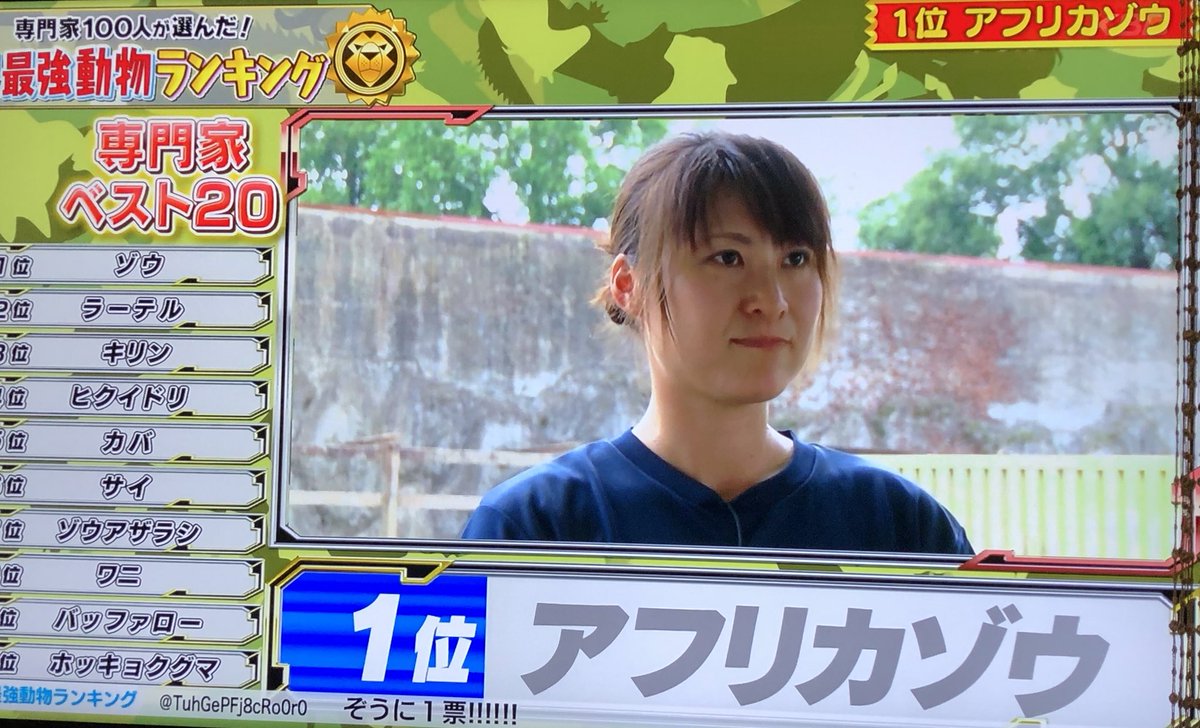 オルサヨ 世界最強動物ランキング なんかこの人がアフリカゾウみたいになってる