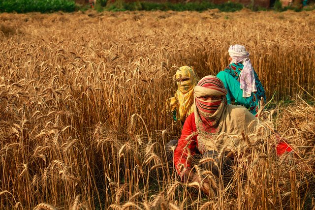 ADB_HQ's tweet photo. Rising heat would make people unable to work due to the health risks posed by higher temperatures https://t.co/SYcAwQrTwF via @TRF_Stories 
#extremeheat #lossofproductivity https://t.co/RF18iWLAeb