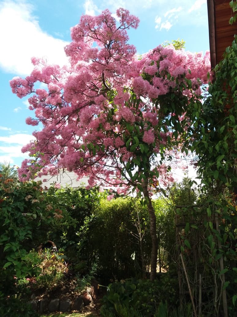 Monica Madera tweet media