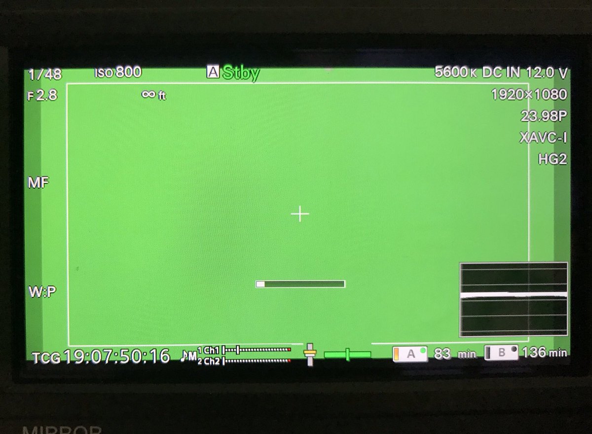 ProVideoBacks's tweet photo. Are your chroma key / green screen waveforms this flat? They should be if you want clean edges without a lot of extra work. 2 x 4’ - 4 bank Kinos do the trick on an 8x8 backdrop and get you an f/2.8 exposure at ISO 800. Find out more at https://t.co/OYHVdcBFL4 https://t.co/304F4sp9yH