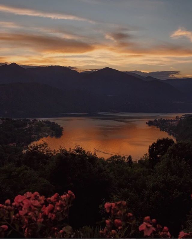 Igers_novara's tweet photo. ___________________________________
Un fantastico tramonto sul #Lagodorta visto da #Vacciago š
.
Grazie @free.zzi per aver condiviso questa stupenda foto
.
Selezione di @cschicca
.
#igersnovara #novara #igerspiemonte #instagramersitalia #piemonte #w⦠https://t.co/oxD4aay60G https://t.co/1lrhgD0LeW