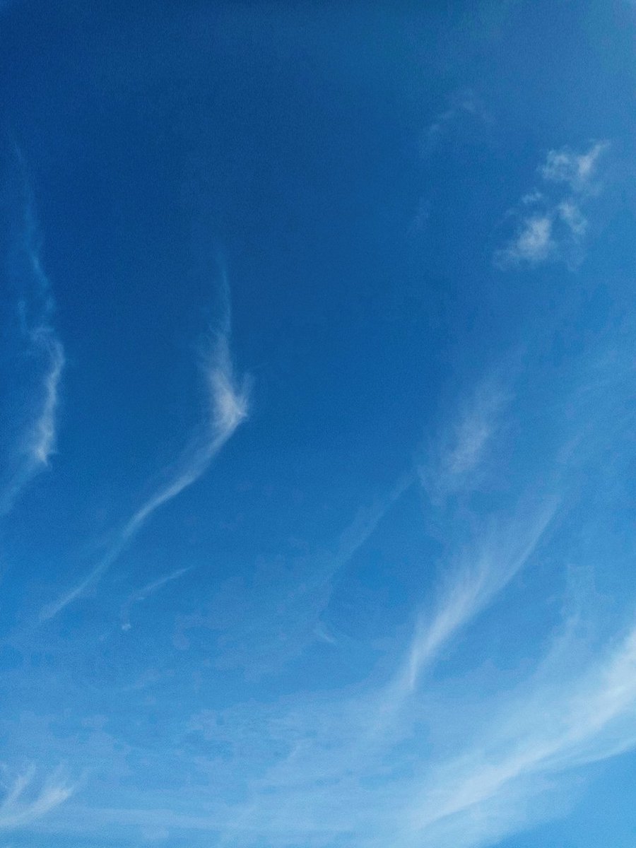 eniturn's tweet photo. Hello Twitter, after a long day, I decided to take pictures of Nature..what do you think? Yay or Nay?
#Androidgraphy https://t.co/kY5pq4wHVz