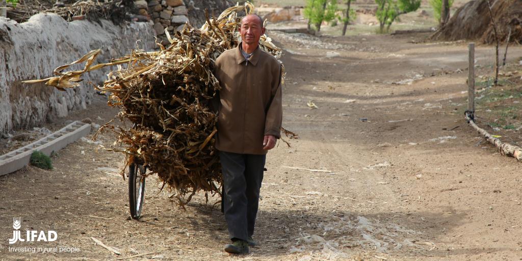 IFAD's tweet photo. Investing in rural people is investing in a brighter #future for everyone ✨

#IFAD #InvestInRuralPeople https://t.co/5ce5J2sutG