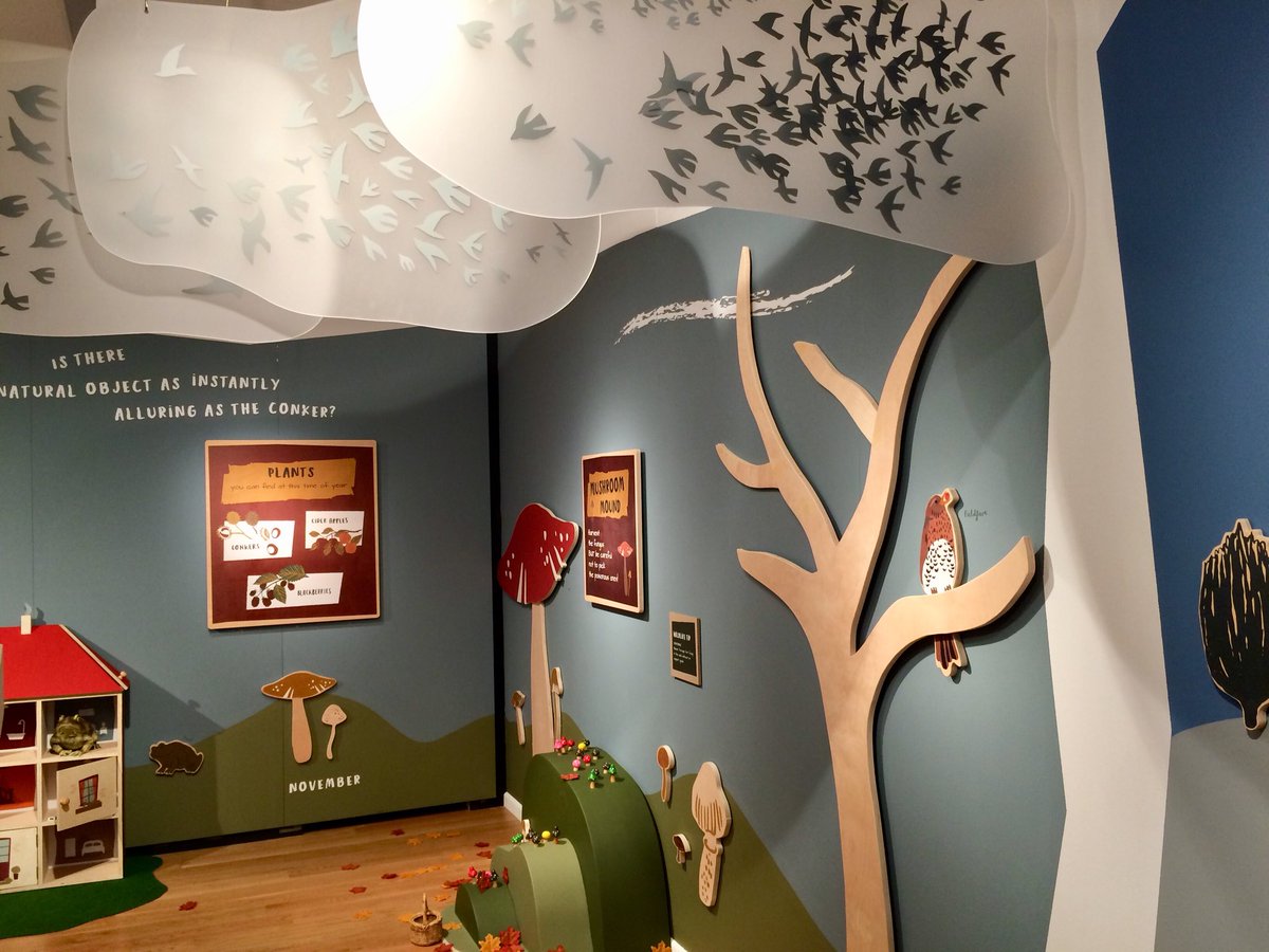 CHockeyStAnnes's tweet photo. ‘Wild Hares and Hummingbirds’ @SomersetMuseum is based on the nature writing of Stephen Moss with beautiful illustration by the graphic artist @ScoleDESIGN Discover more about the animals, plants and birds that surround us 🦔🦌🦉🦊 Well worth a visit 💚🌿 x #nature @VisitSomerset https://t.co/ky2mCtSE59