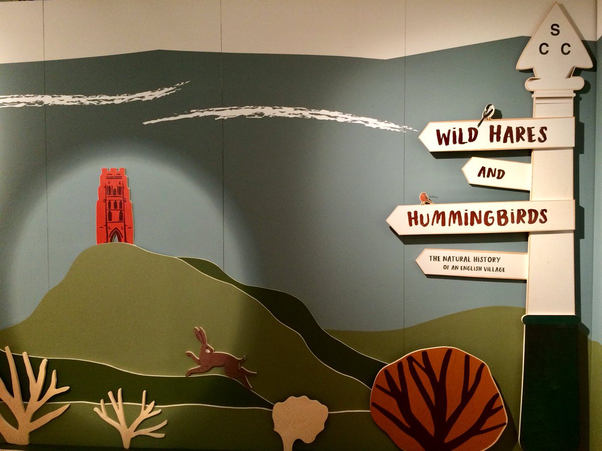 CHockeyStAnnes's tweet photo. ‘Wild Hares and Hummingbirds’ @SomersetMuseum is based on the nature writing of Stephen Moss with beautiful illustration by the graphic artist @ScoleDESIGN Discover more about the animals, plants and birds that surround us 🦔🦌🦉🦊 Well worth a visit 💚🌿 x #nature @VisitSomerset https://t.co/ky2mCtSE59