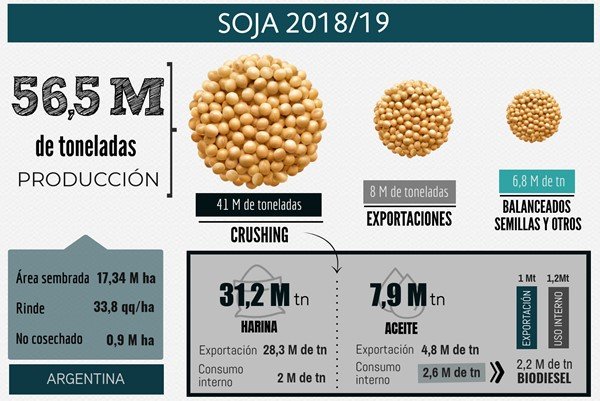 moscarielloe's tweet photo. Soja 18/19
#soja
#soybean
#Argentina #Diyee #BCR https://t.co/Vh73w2OeqQ