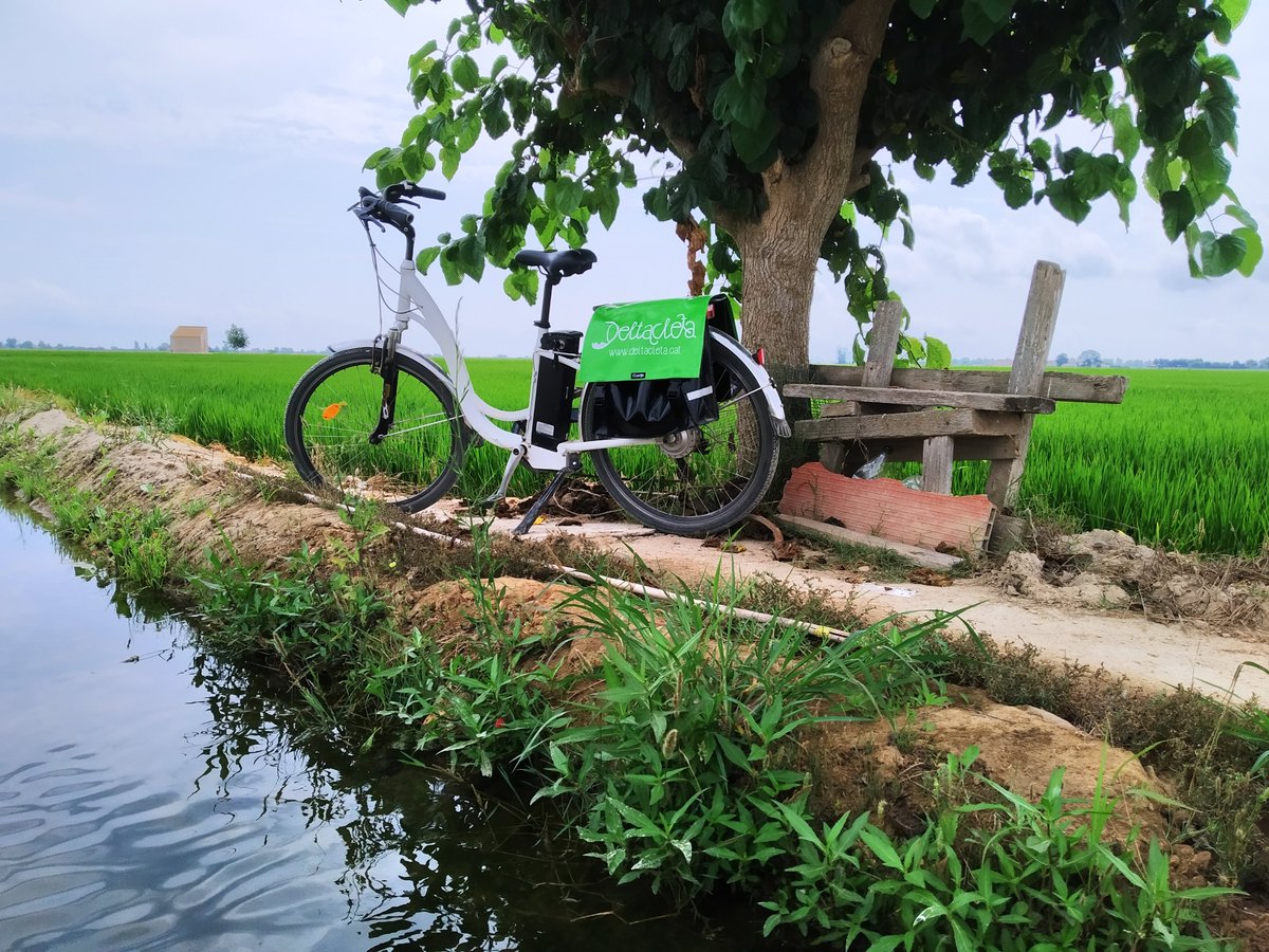 Per descansar de la calor...bicicleta elèctrica i un bon racó!! Fes-ho possible, visita #deltacleta
 #deltadelebre #catalunyaexperience #terresdelebre