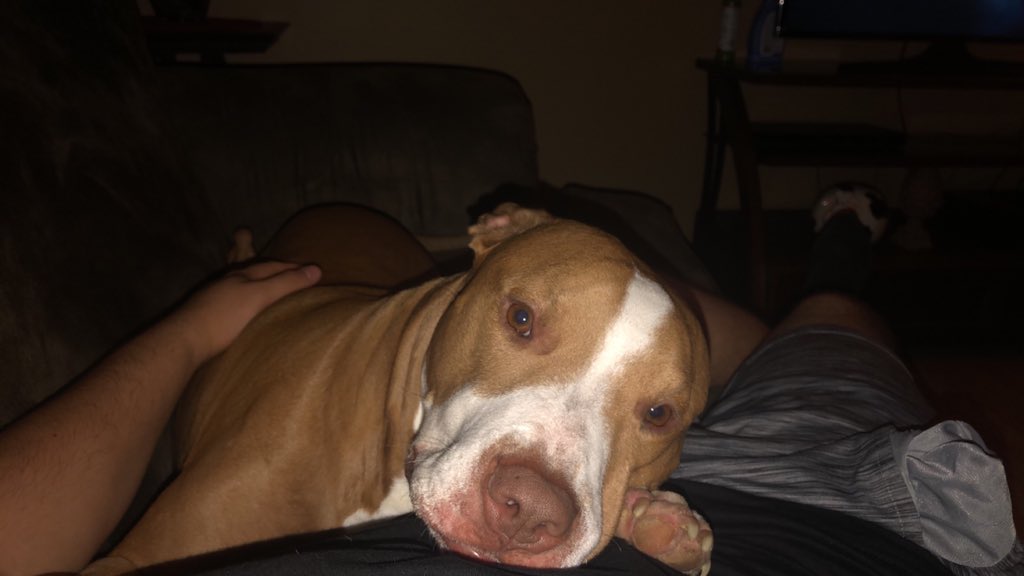 whiteboyAP's tweet photo. The sweetest. I love my son! #papaalex #daddyprobs #cosmo https://t.co/18sdgaJtO5