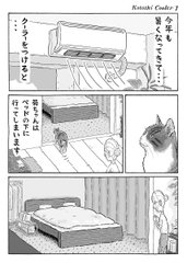 エアコンが苦手な猫ちゃんと熱中症が心配な飼い主さん 猫との暮らしを描いた漫画から優しさが伝わってくる 1 2 ページ ねとらぼ