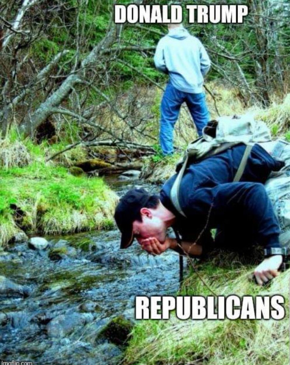 resistance_mc's tweet photo. @DWPippy @Stop_Trump20 https://t.co/uefgoT9yj8