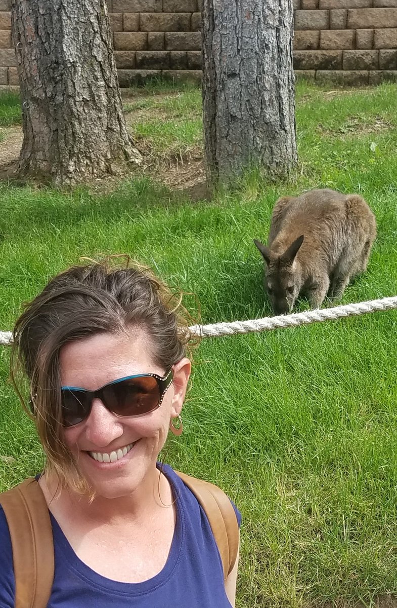 MrsMcCoyGrade4's tweet photo. Cheyenne Mountain Zoo was breathtaking. #SWESummer19 @HumbleISD_SWE https://t.co/3P9XDZZrve