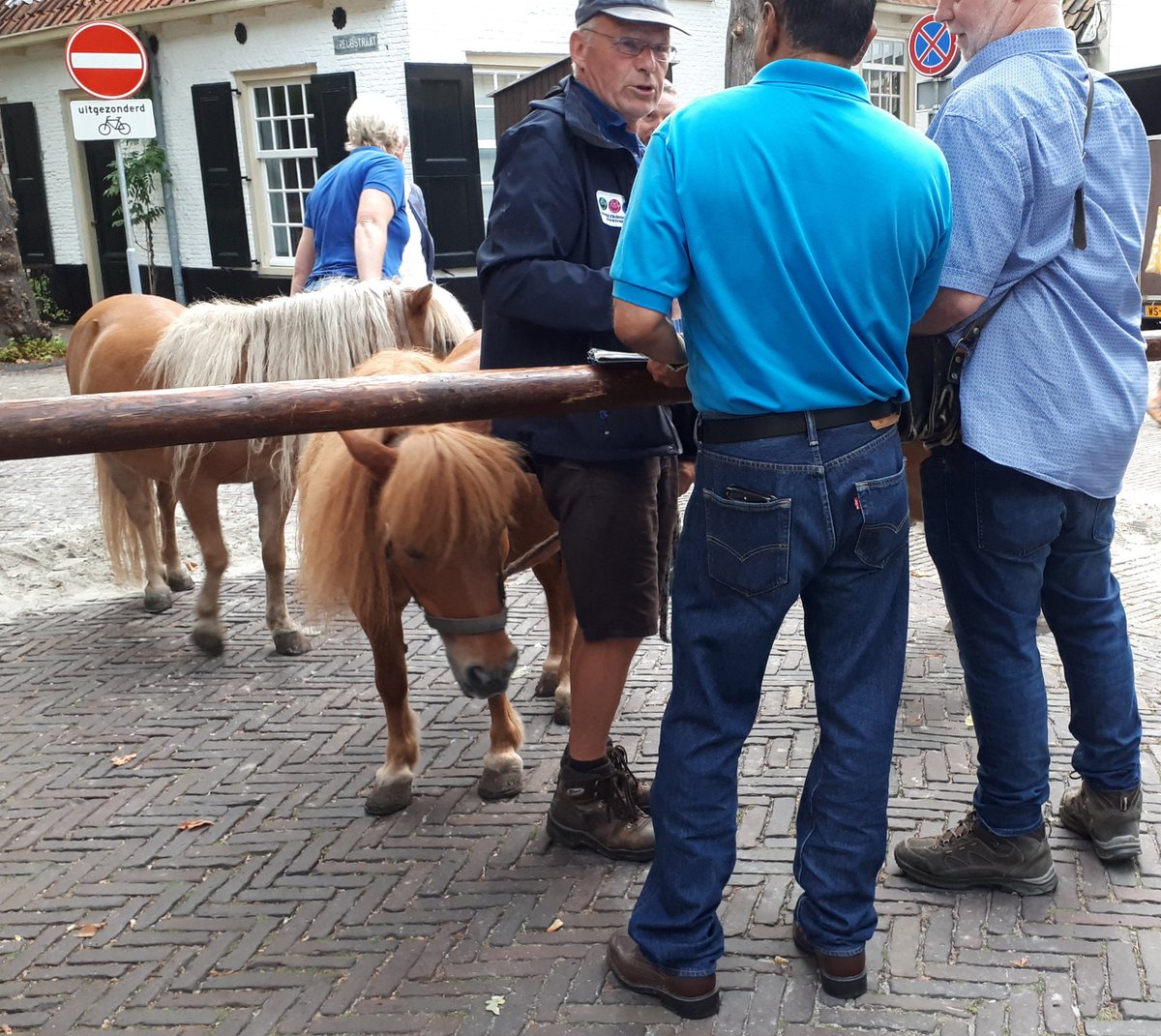 WA_Voorschoten's tweet photo. Vandaag toezicht gehouden met collega Sam tijdens de paardenmarkt op de Voorstraat in Voorschoten. Meer dan 50 paarden konden verhandeld worden. #wijkagent #paardenmarkt #Voorschoten #toezicht #veiligheid #gemeente #boa #zorg #dieren #familiefeest #reunie https://t.co/x0M76YNlqn