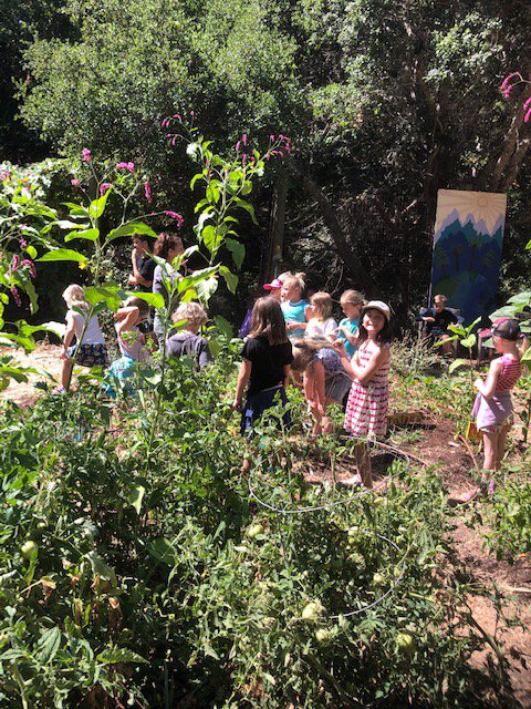 FlowervineMom's tweet photo. Last day of cooking the children yesterday. I took them to the garden like I do every day to show them their food and to harvest. We're talking basil here. #childreninnature #CookingTeacher #plantbased #vegan #chef #ChildrenCooking #CookingFromScratch https://t.co/46wfvG8KQ7