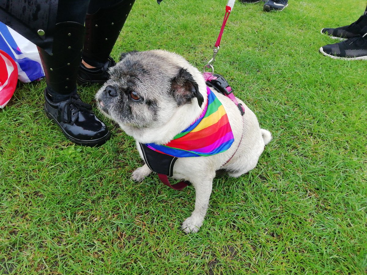 rrswift's tweet image. It rained on the parade, but hey! #SheffieldPride
