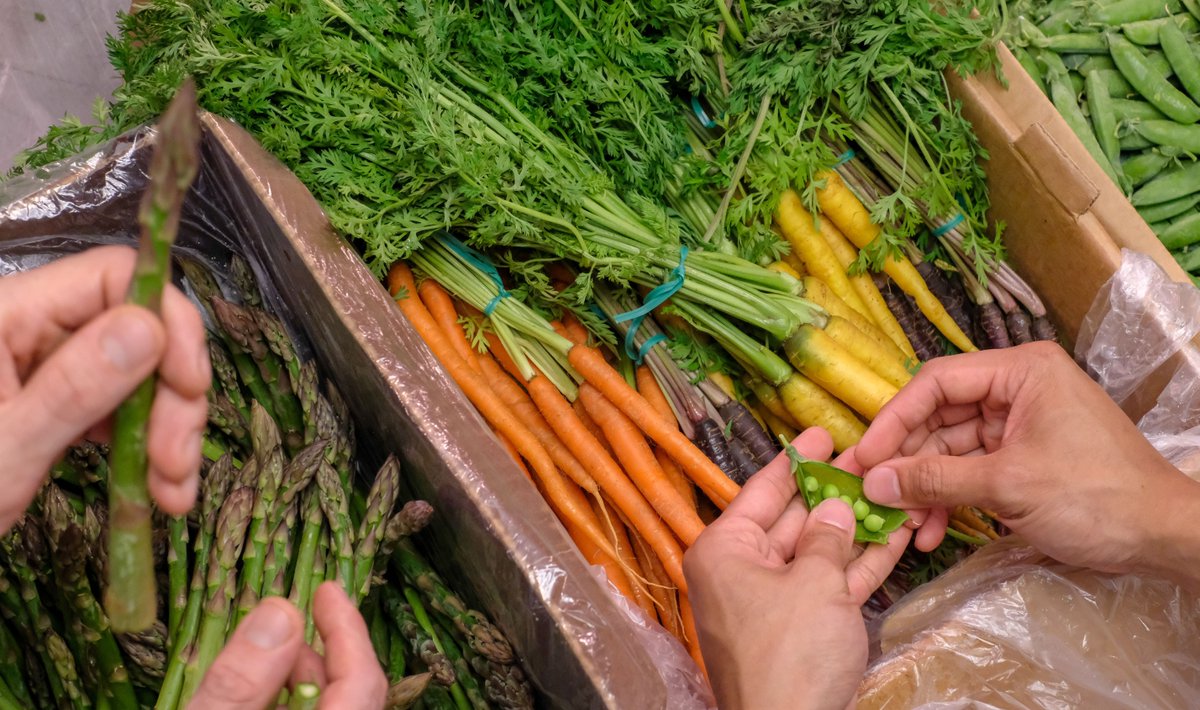 Our very own Chef Nic Tang was recently interviewed by Culinary Agents on his best tips for Farmers Markets. His answer? “Build a close relationship with the farmers so you can get a text a few days before on what he/she is bringing to the market!”
