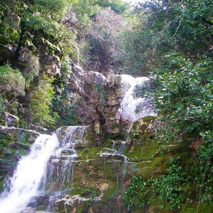 SY_Photos's tweet photo. قرية قرن حلية - ريف جبلة 
. https://t.co/fJYEMdzOyd