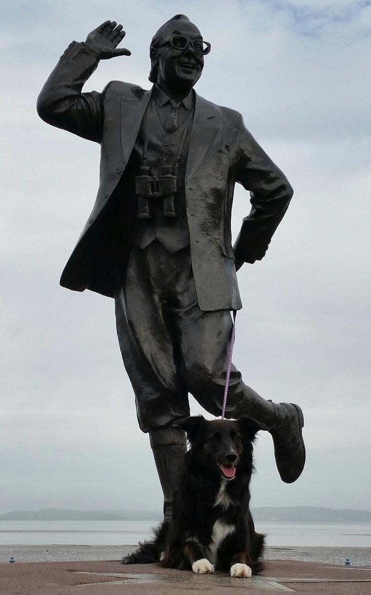flump54321's tweet photo. #NationalDogPhotographyDay Happy National Dog Photography day from our wee Hattie xx https://t.co/lrxnl9YTz3