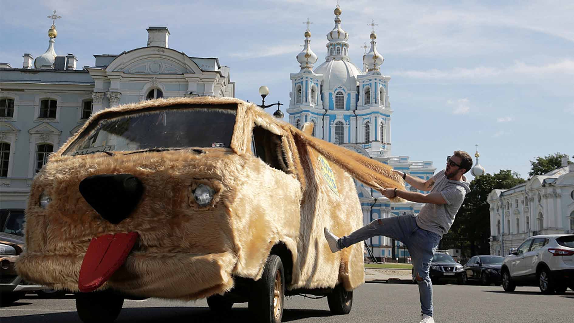 Собакомобиль тупой и еще тупее