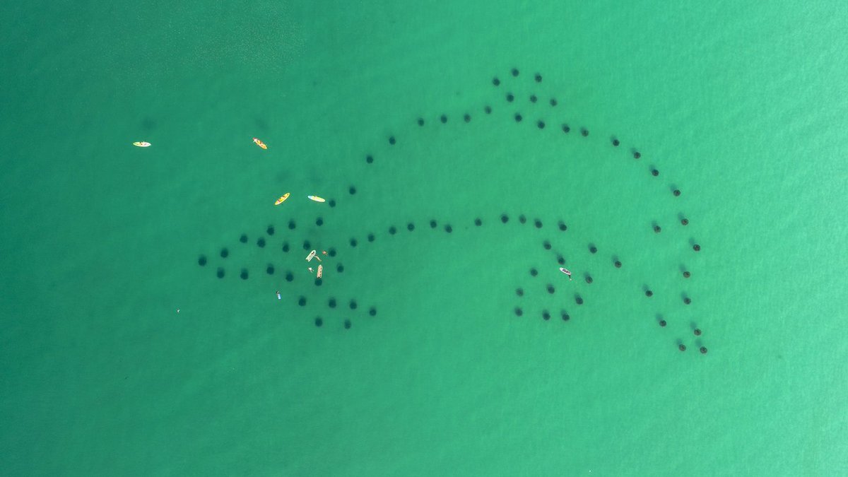 Here is a bird's-eye-view of your #weekend plans! 🏄‍♂️🐬Learn more about the #SouthWalton Artificial Reef Association's unique reefs here: bit.ly/2OmUUAc
