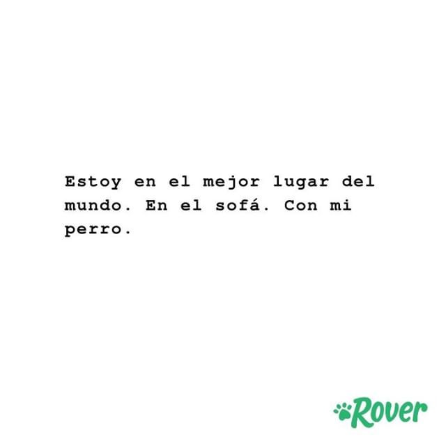 roverdotcom_es's tweet photo. ¿Se te ocurre otro mejor? ♥️🐶
.
.
#cuidadoresdeperros #cangurosdeperros #paseadoresdeperros #cuidadoresrover #cuidadodeperros #paseodeperros #dogsitting #dogsitter #dogwalk #dogwalker https://t.co/tkY19WxuyE https://t.co/G82yERyr3R