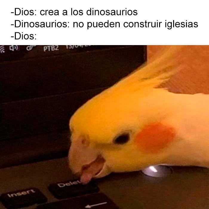 yisucrist's tweet image. ahora todo tiene sentido