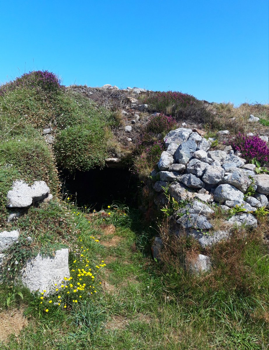 Ballowal Barrow/Carn Gluze.Bronze Age, double-walled with remains of cists and possible graves. Views to Lands End/Scillies. Layout is odd due to some insensitive excavation but as it was lost entirely under mining works for many years I'm not complaining. #PrehistoryOfPenwith