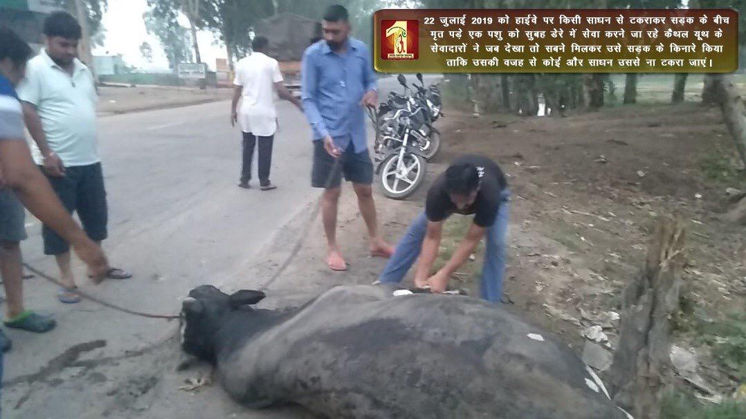 Anusha62491803's tweet photo. #SelflessWelfare
Inspired by @gurmeetramrahim Singh ji, volunteers of @derasachasauda always stand to help others whether it is human or animals. https://t.co/bPBjQbW4xn