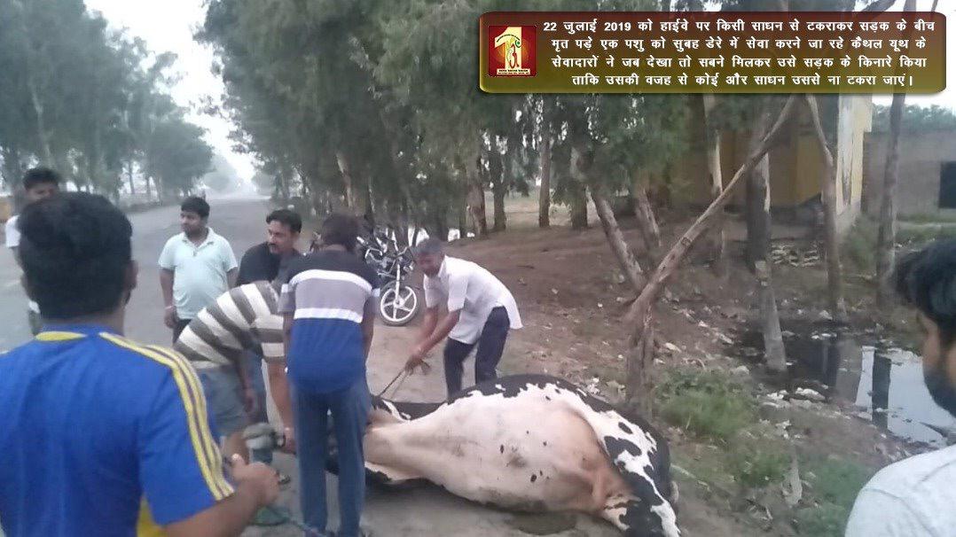 NileshInsan's tweet photo. #SelflessWelfare
 True Spiritual Master of millions, Saint Dr  @Gurmeetramrahim Singh Ji Insan encourages the followers to serve humanity. Following his pious teachings, the volunteers did a number of Human Welfare activities across the nation.
@derasachasauda https://t.co/bGmYcyT1sk