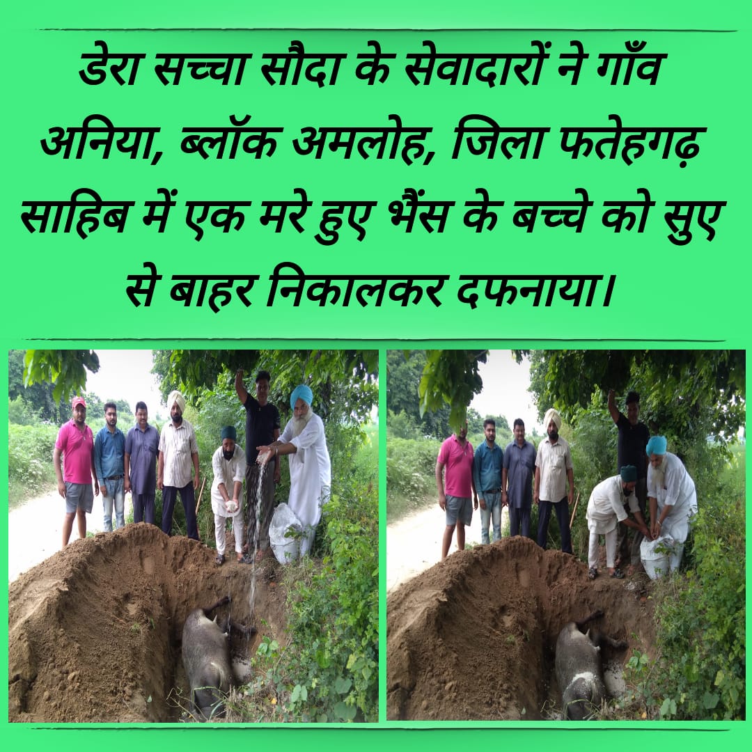 Sukhdeepinsan56's tweet photo. डेरा सच्चा सौदा के सेवादार हर जरूरतमंद की मदद के लिए हर संभव कदम उठाते हैं। इस हफ्ते, उन्होंने गरीब परिवारों और छात्रों को भोजन, कपड़े और स्टेशनरी वितरित की, रक्तदान व कईं अनेक मानवता भलाई के कार्य किये
#SelflessWelfare https://t.co/Qf8FatEpZE