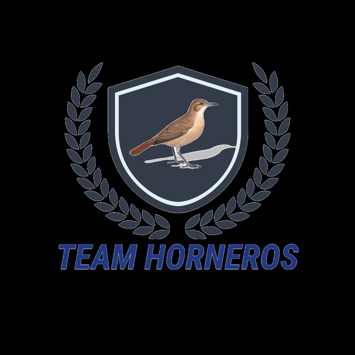 Dark Ice CUP 🏆🏅 tweet media